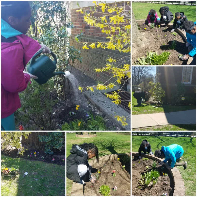 A collage of people working in the garden